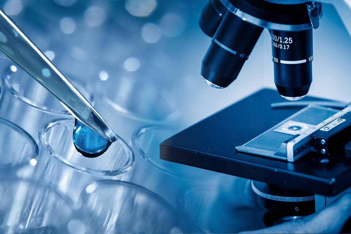 专业同志代孕公司：卵愿传承——揭秘当地捐卵机构的温馨故事”